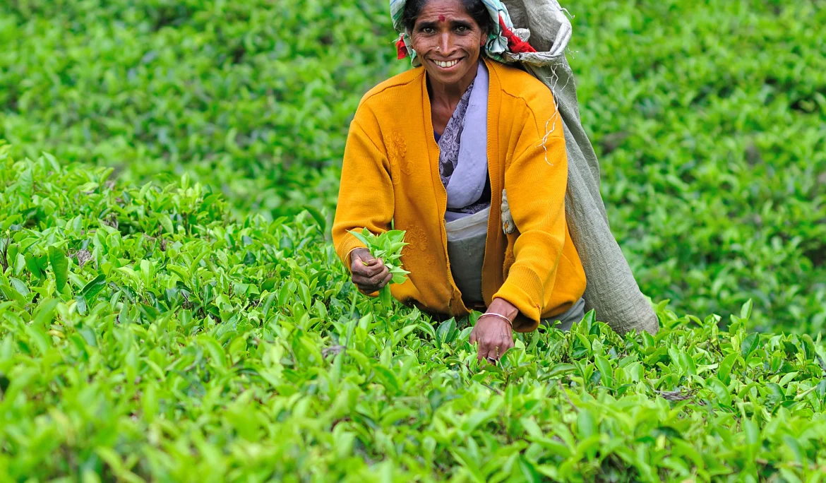 line-production-sri-lanka