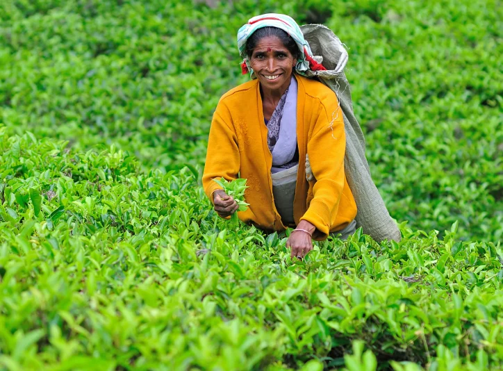 line-production-sri-lanka