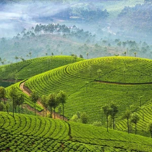 production-fixer-sri-lanka